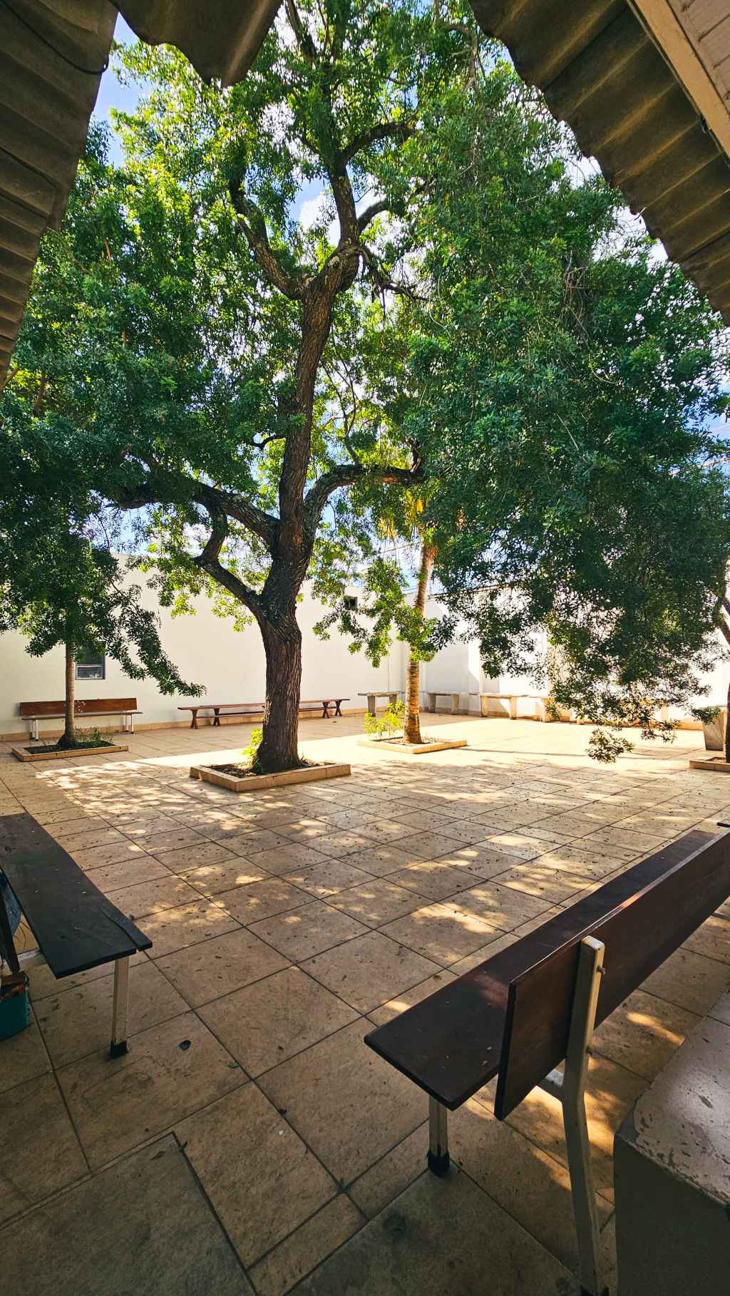 Refúgio de esperança: a área de convivência do Bezerra de&nbsp;Menezes